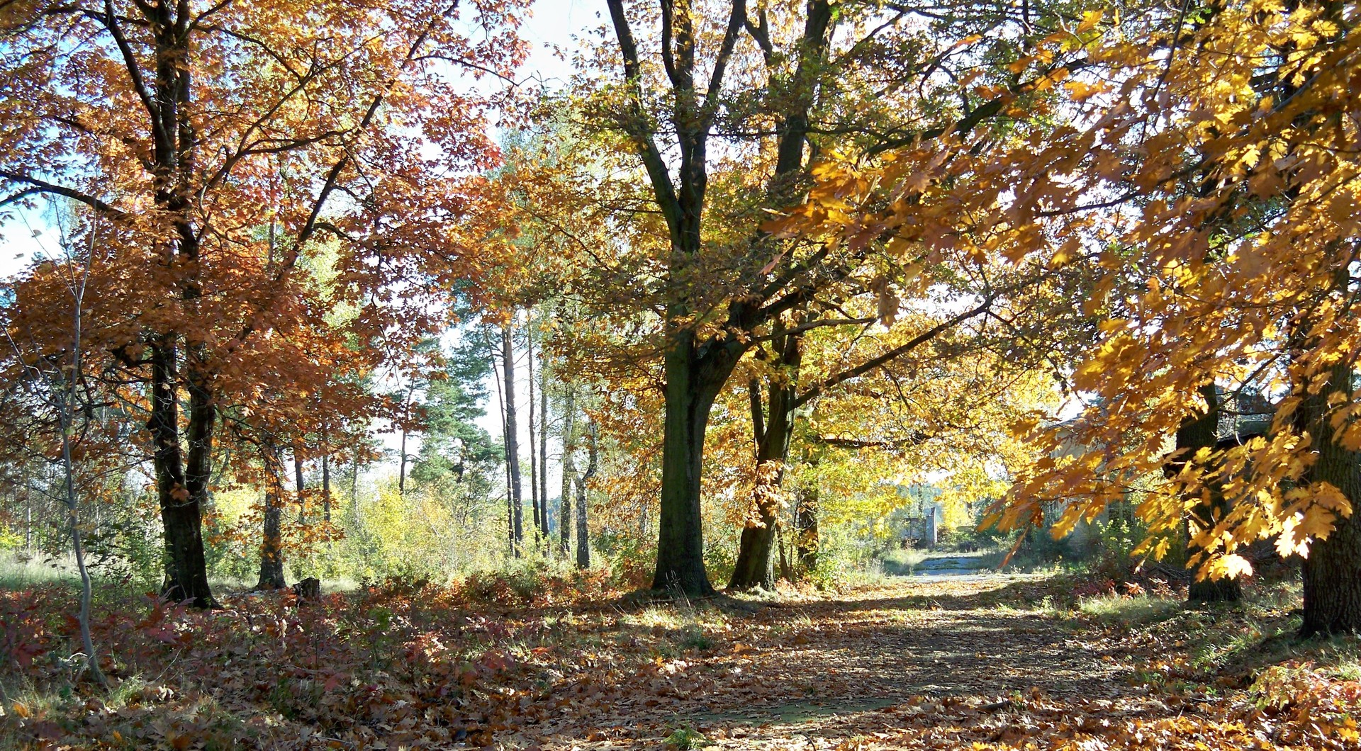 Herbststimmung 