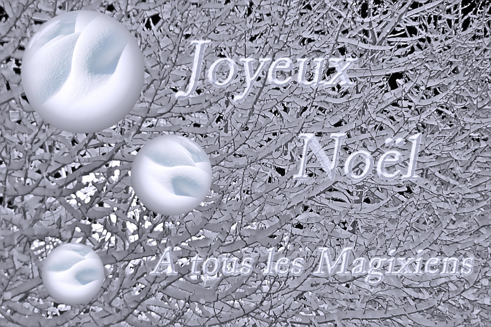 Joyeux Noël à tous les Magixiens