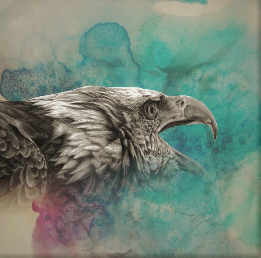 Aquarell meets Eagel