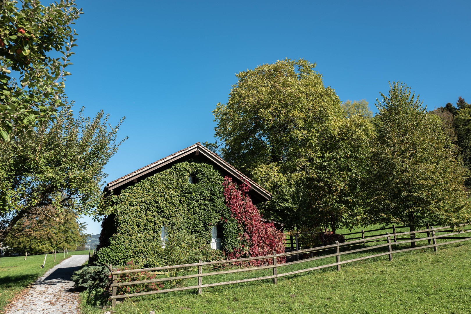 Kleines Häuschen im Herbst zum Chillen