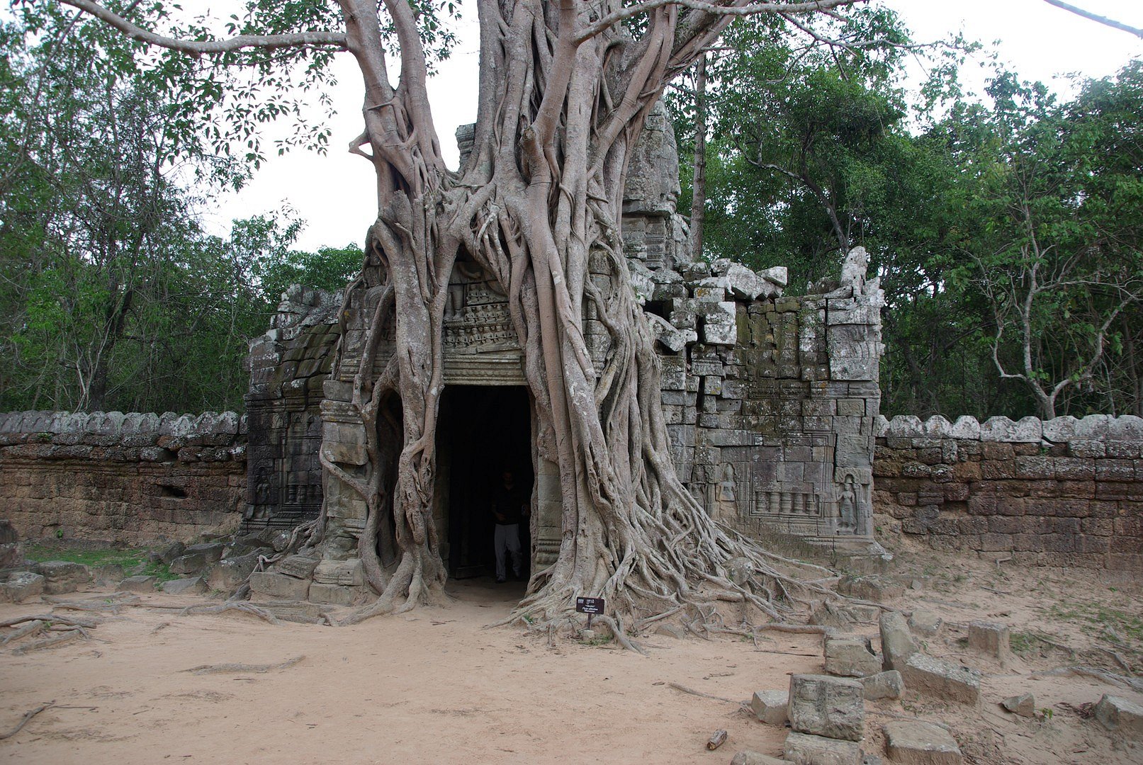 Natur und tempel