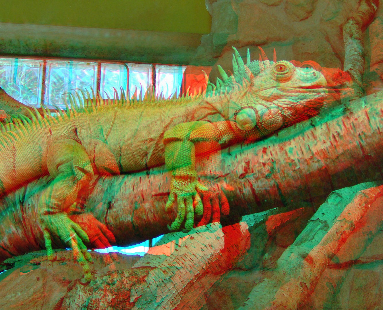 Cameleon in 3D