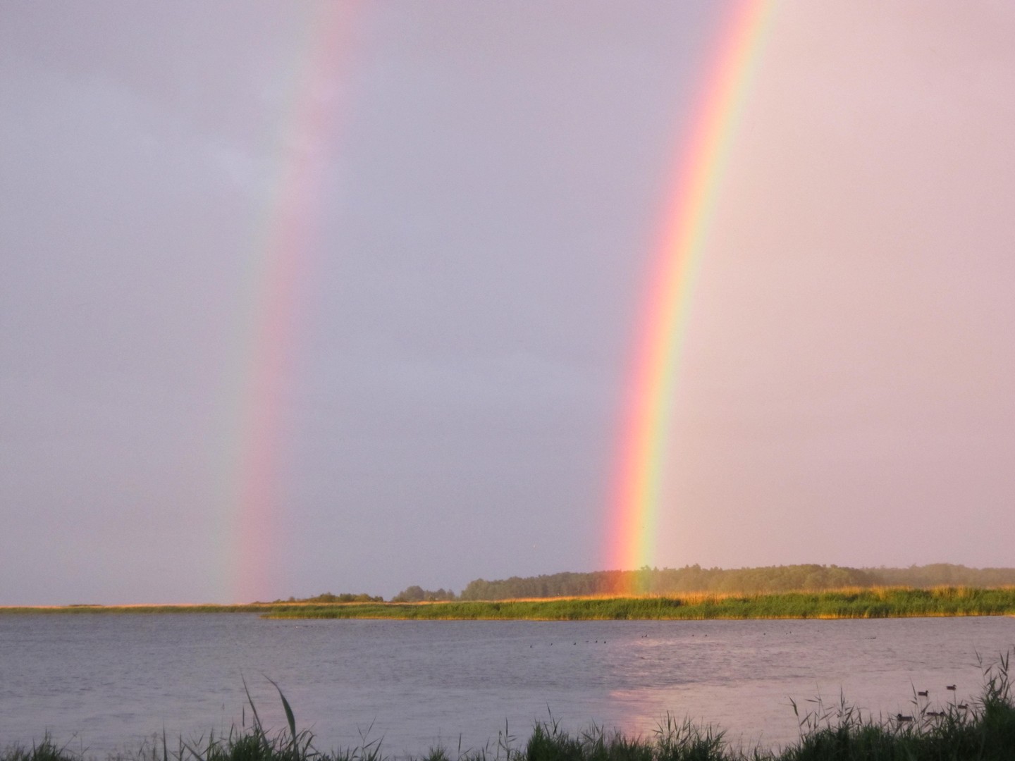 Regenbogen