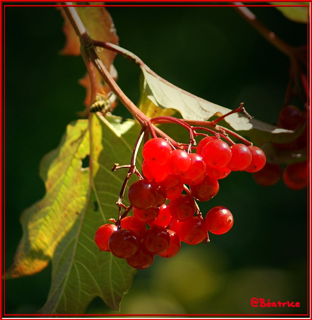 Langsam wird es Herbst..