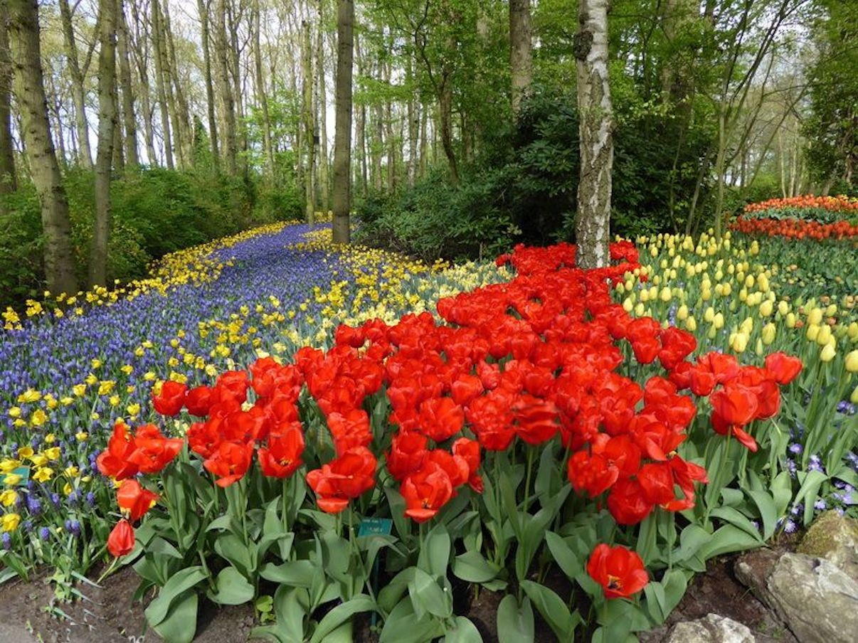 keukenhof