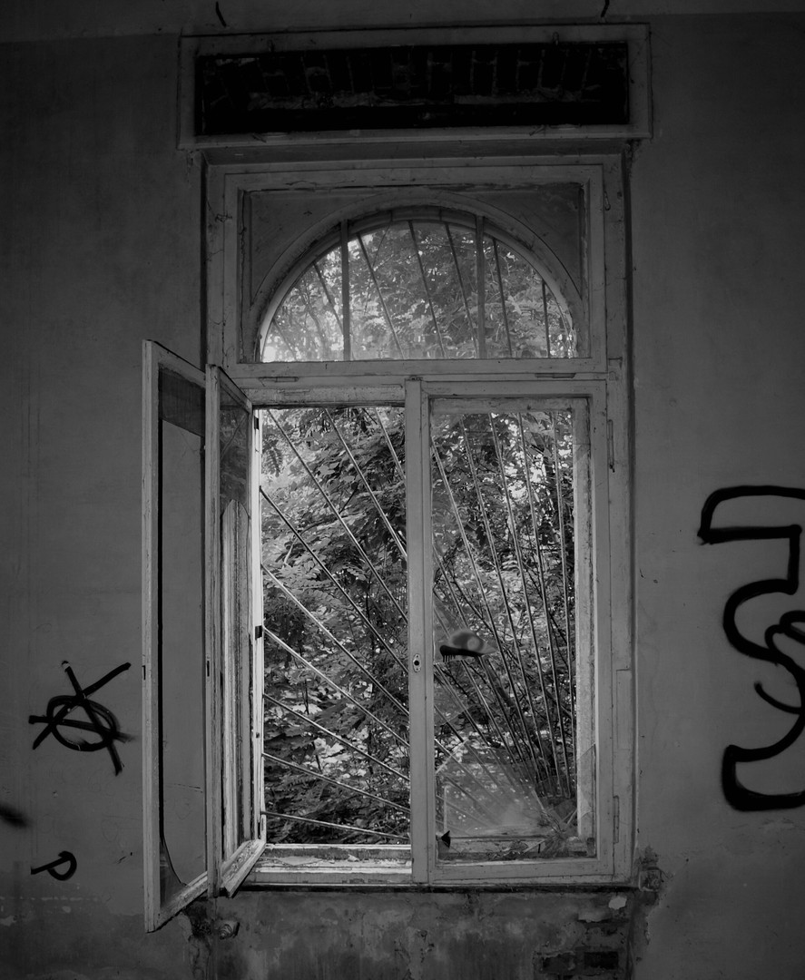 Fenster