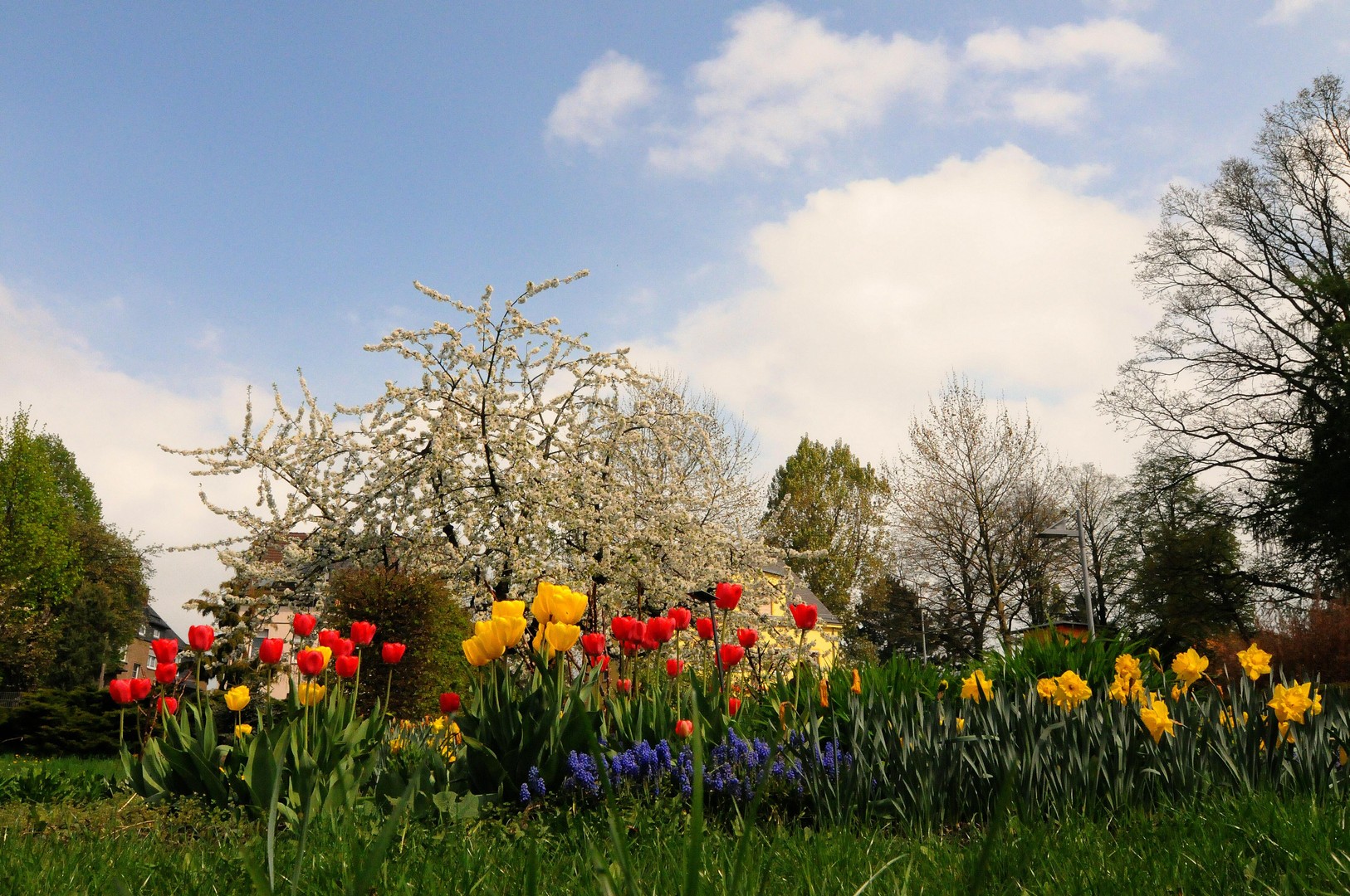 Botanischer Garten