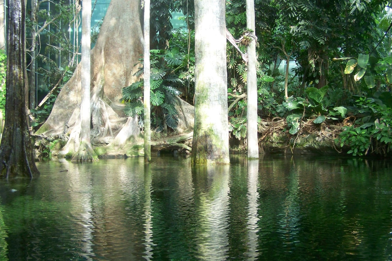 museo de la sciencia