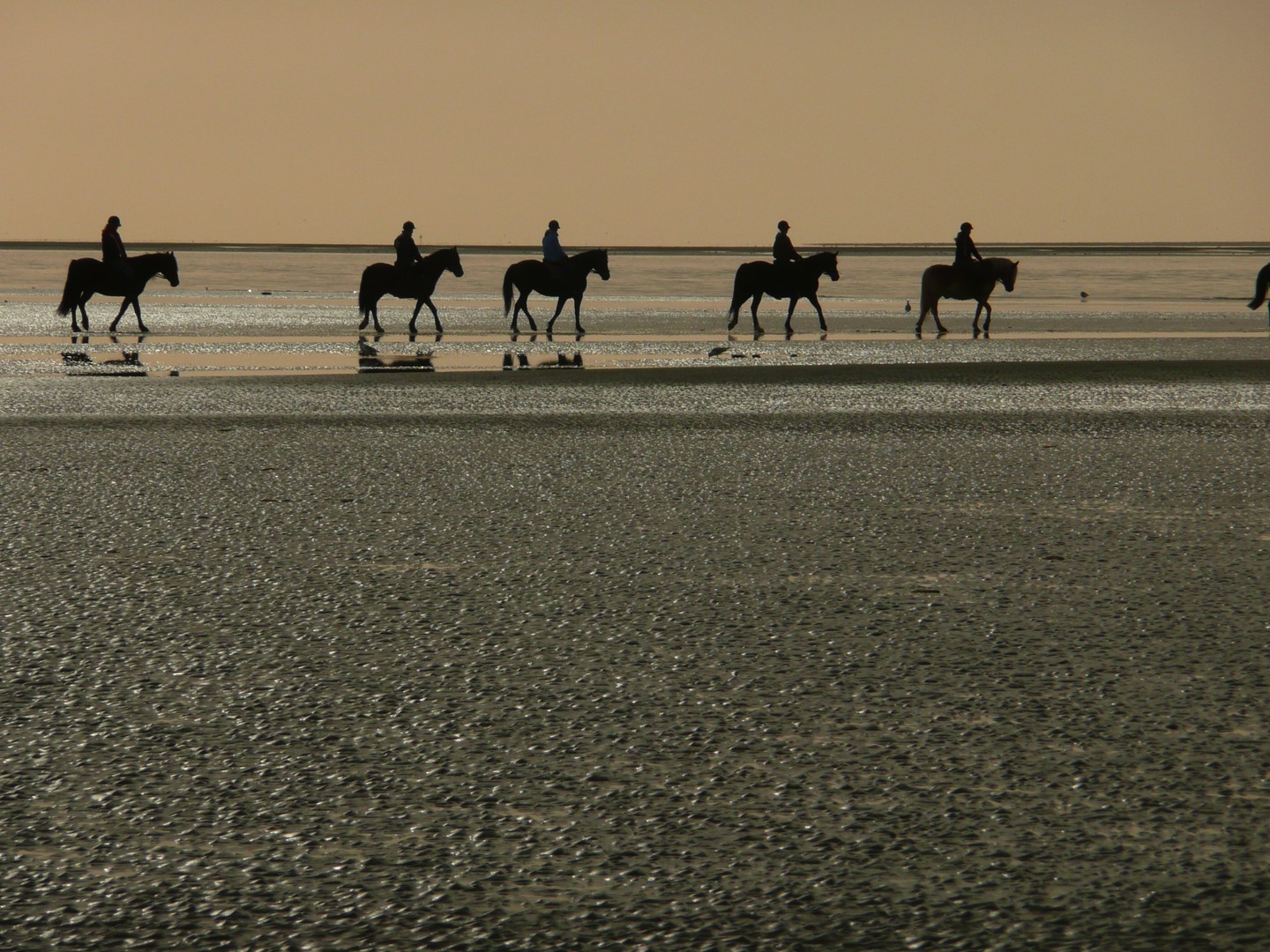 reiterprozession am Strand