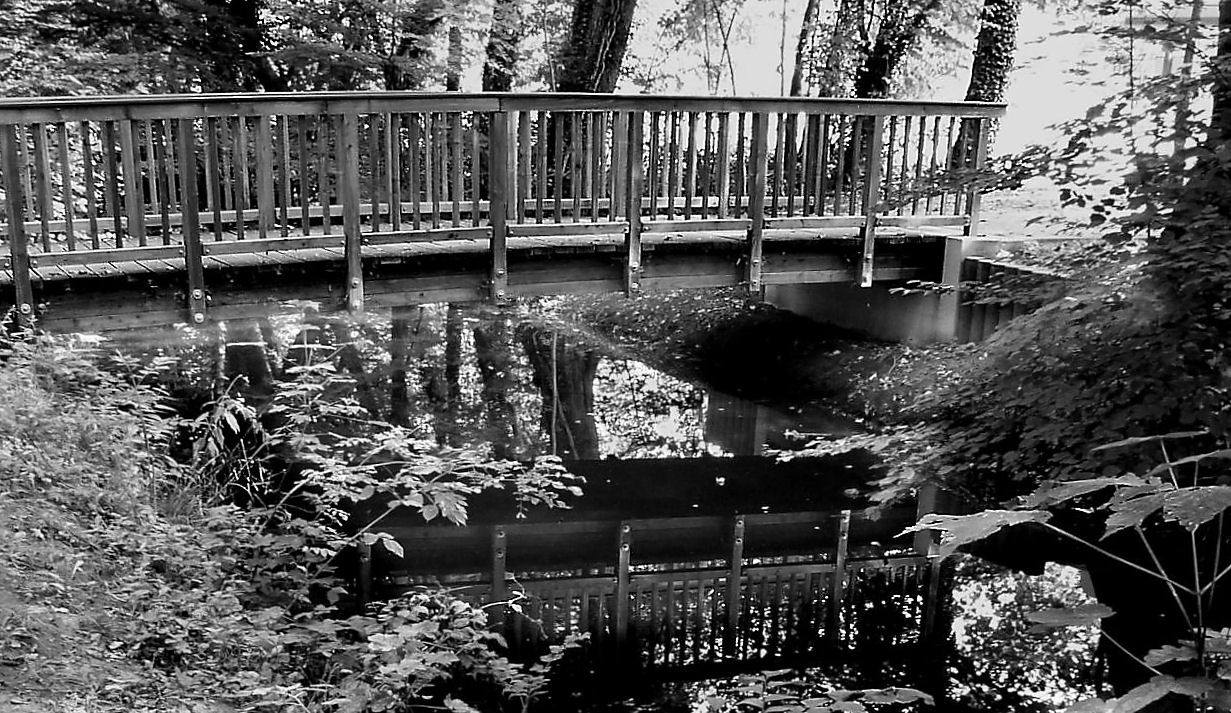 Über eine Brücke gehen oder nicht?