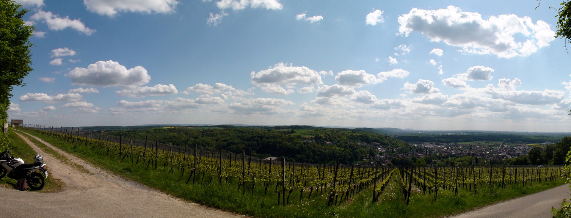 Weinberge in Weingarten