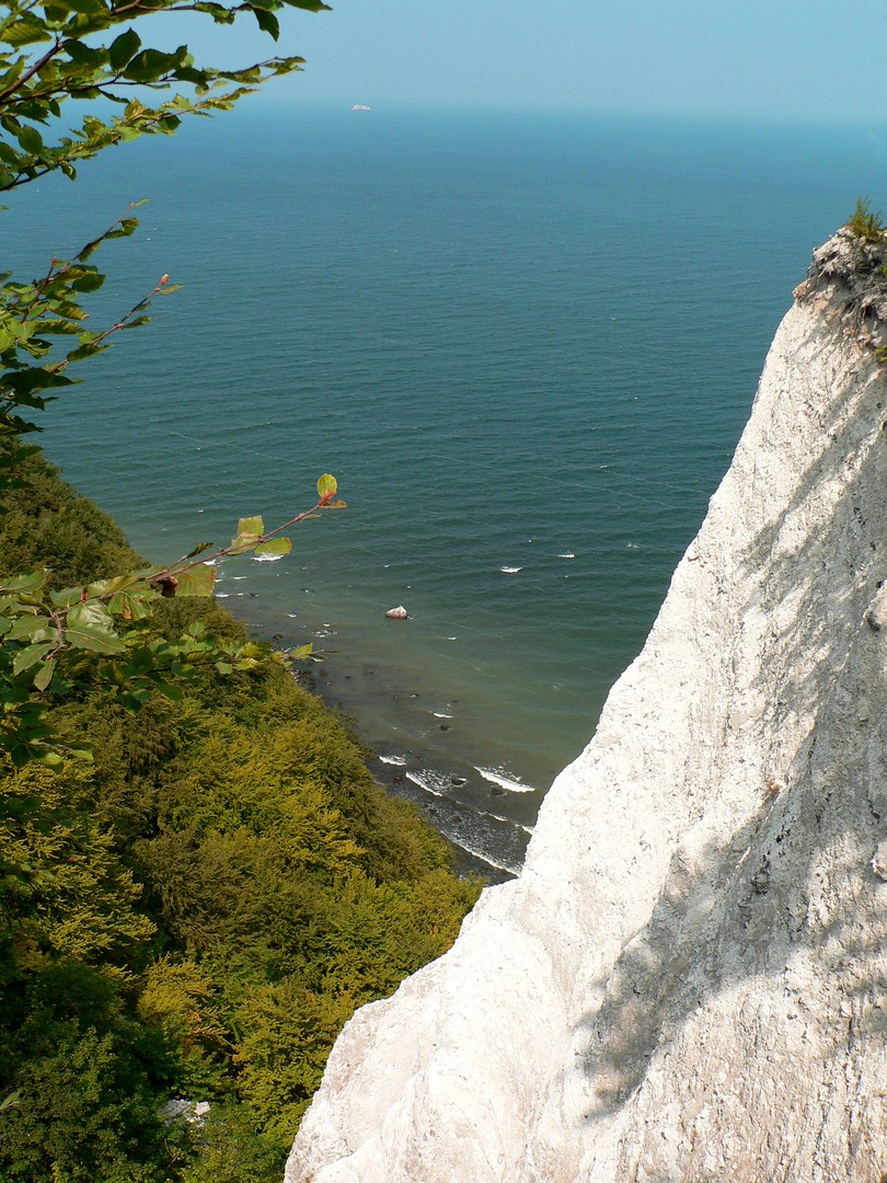 KREIDEFELSEN AUF RÜGEN