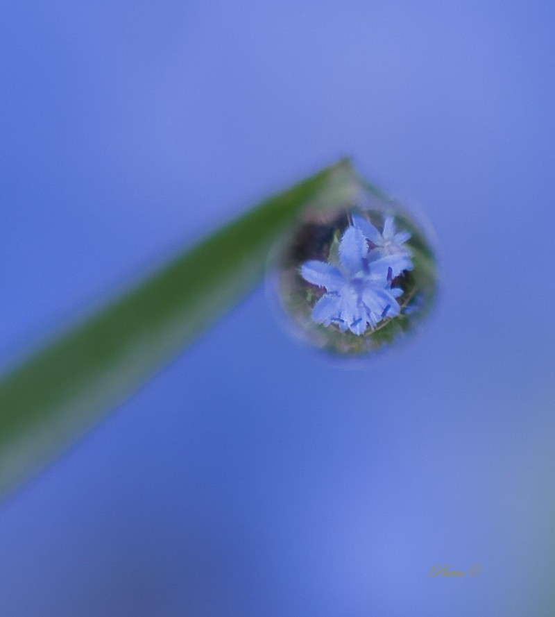  inside a drop 