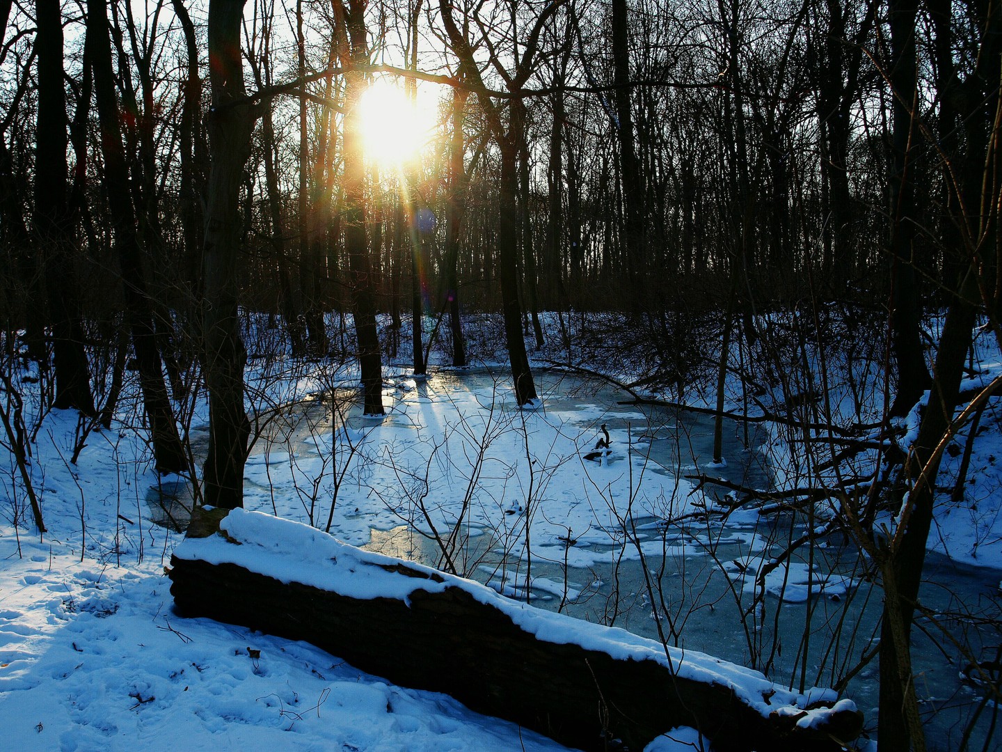 Winterlandschaft