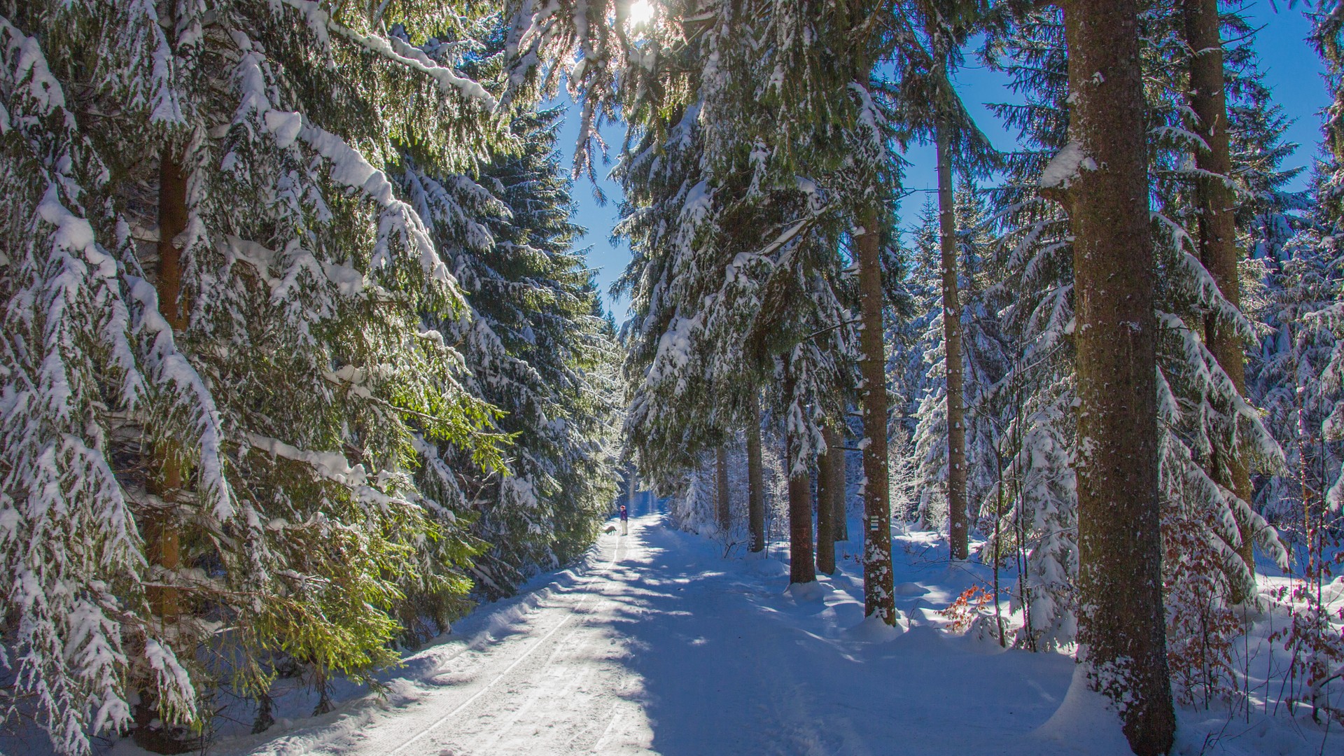 Schöneck im Winter 2017