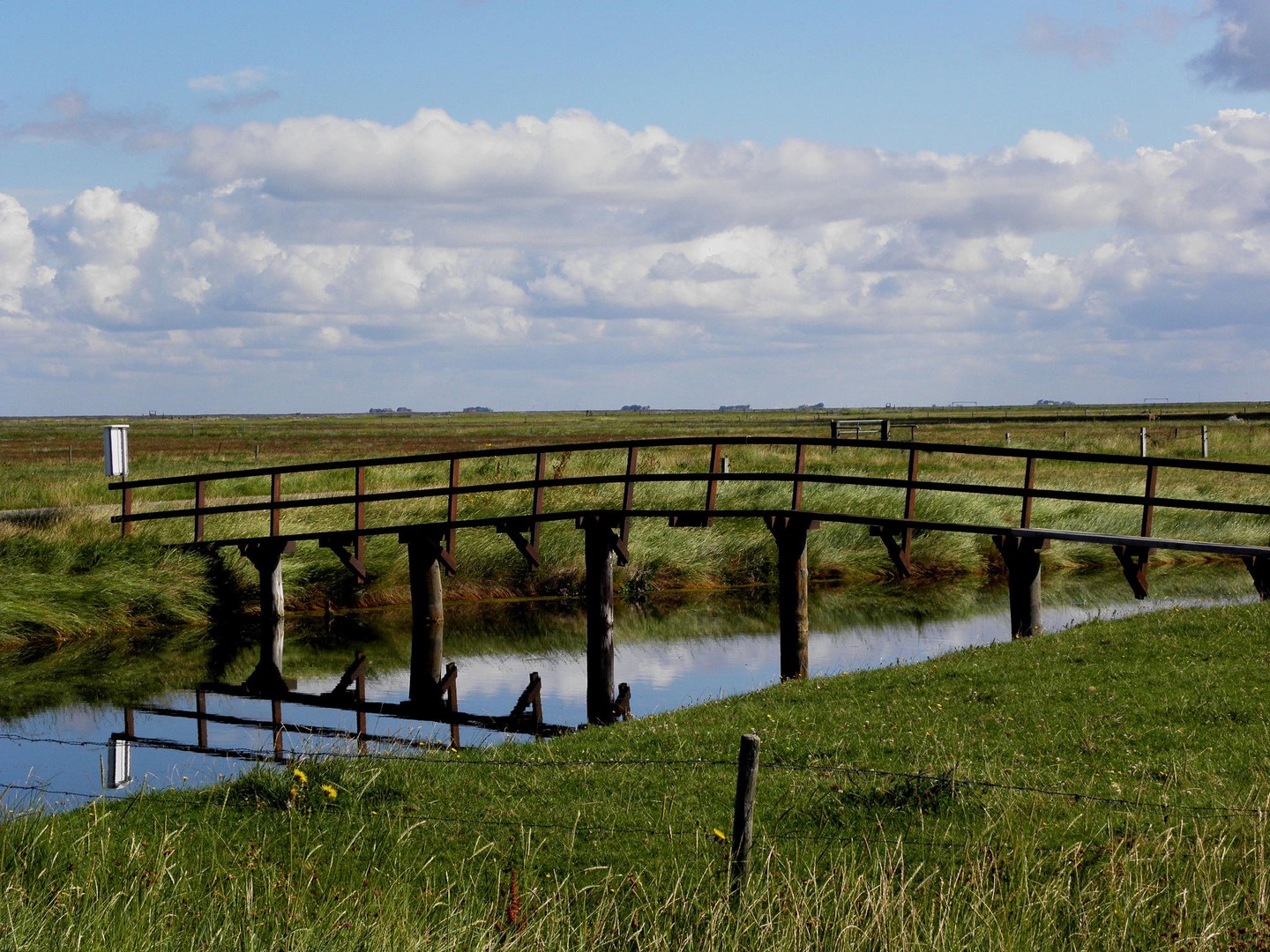 Hallig Hooge ...