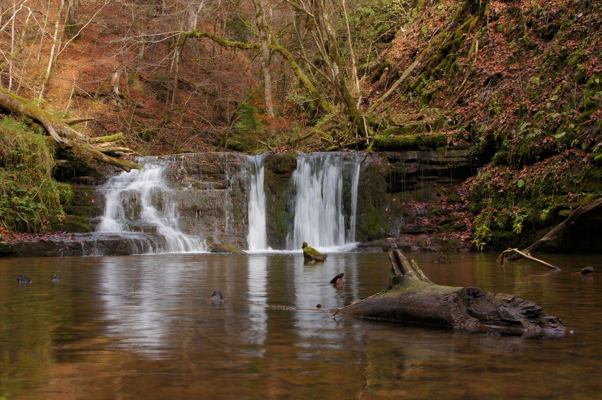 Herbst in der Gauchachtschlucht