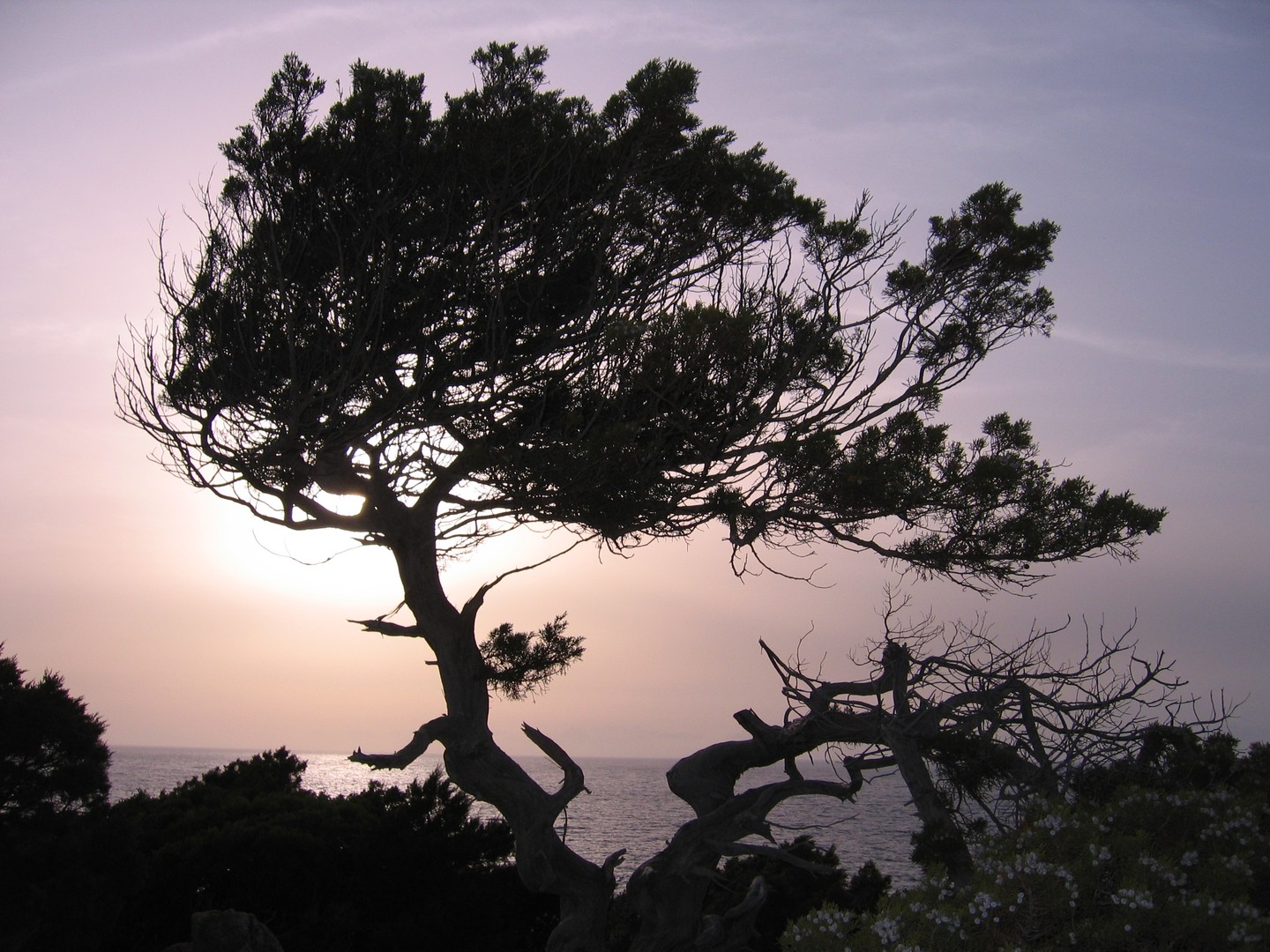 La forza della natura