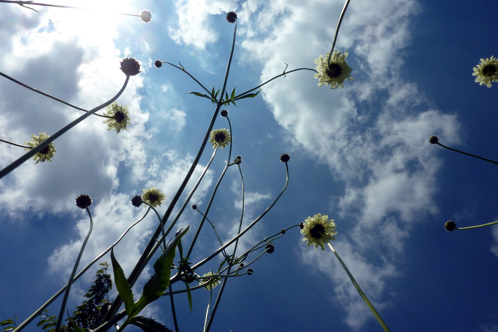 Blick in den Himmel