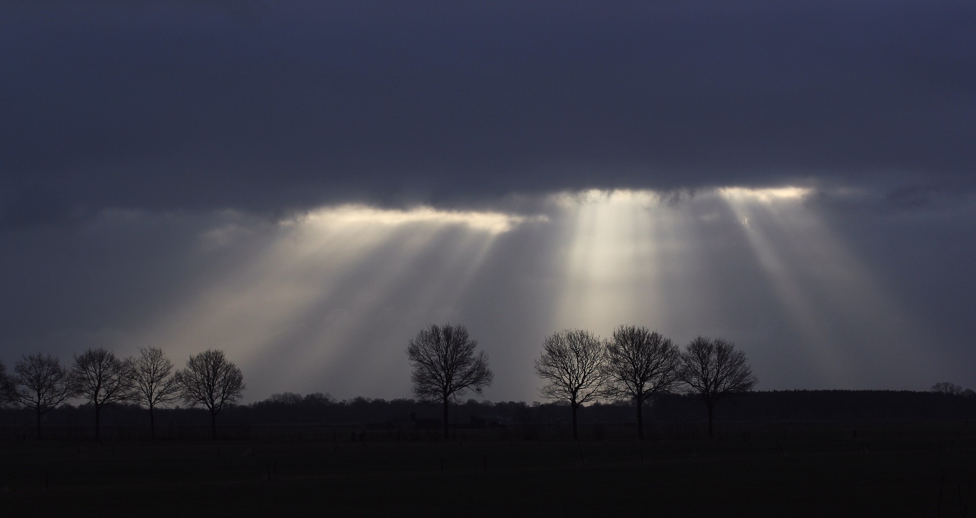 Een licht puntje voor iedereen