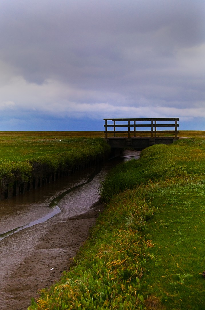 Der Weg in die Nordsee