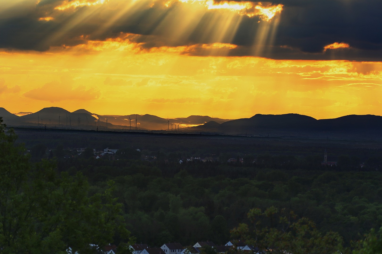 der Blick zu den Pfälzer Bergen