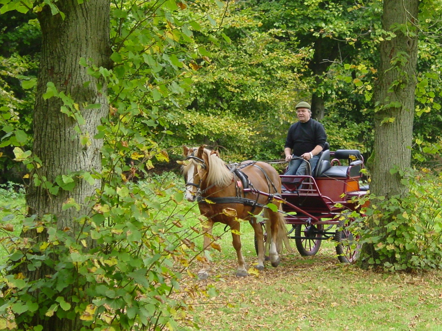 paard en wagen