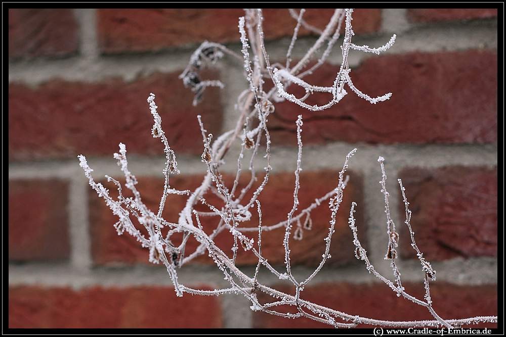 Väterchen Frost