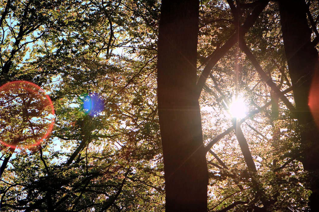 Herbstzeit