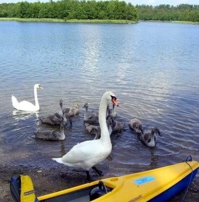 Familienausflug