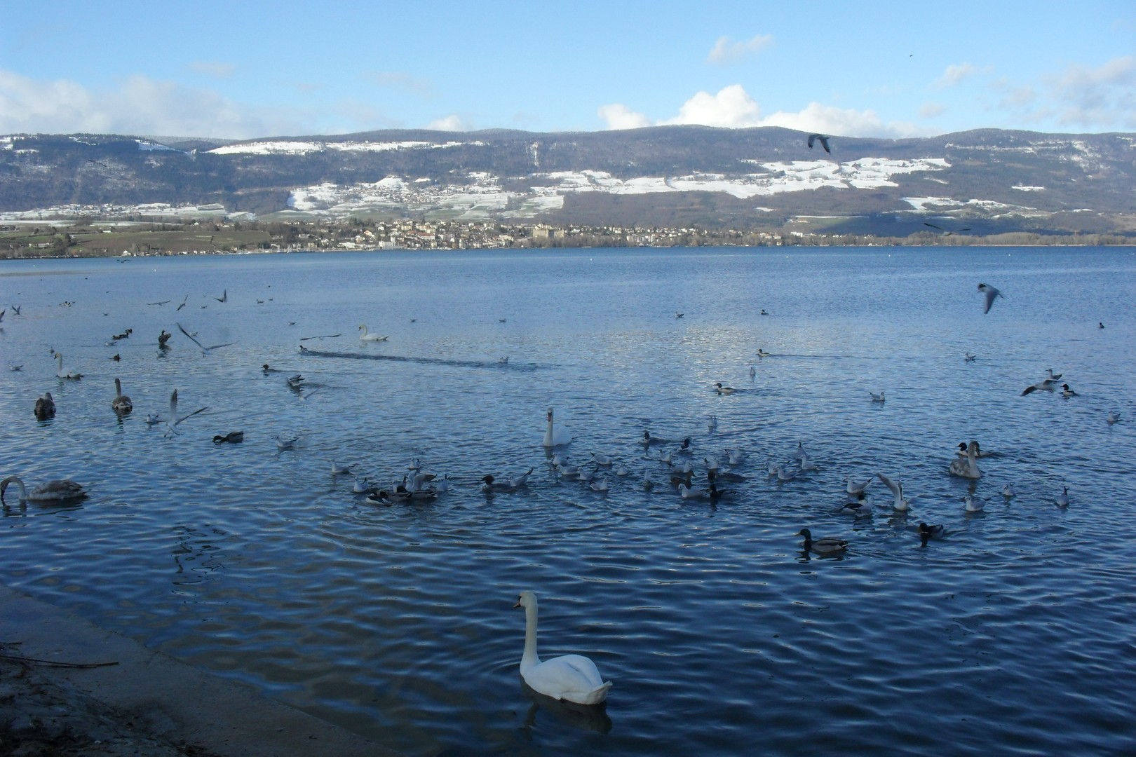 lago d'inverno