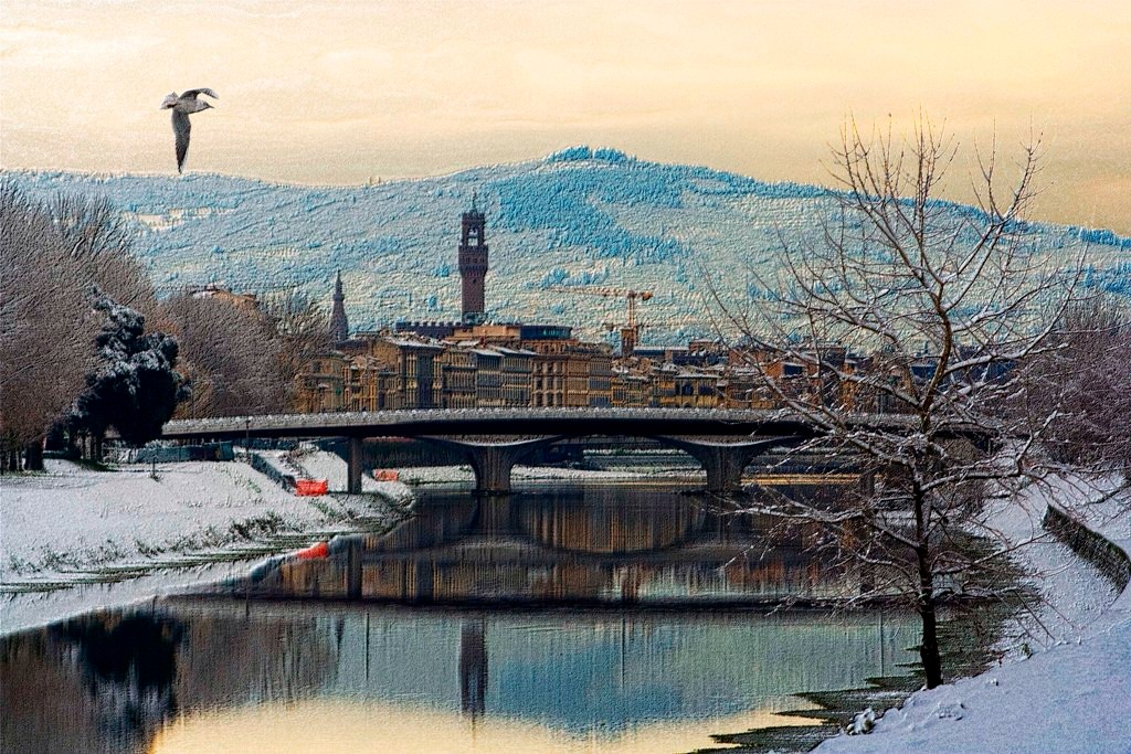 Volo di un gabbiano sul fiume Arno innevato