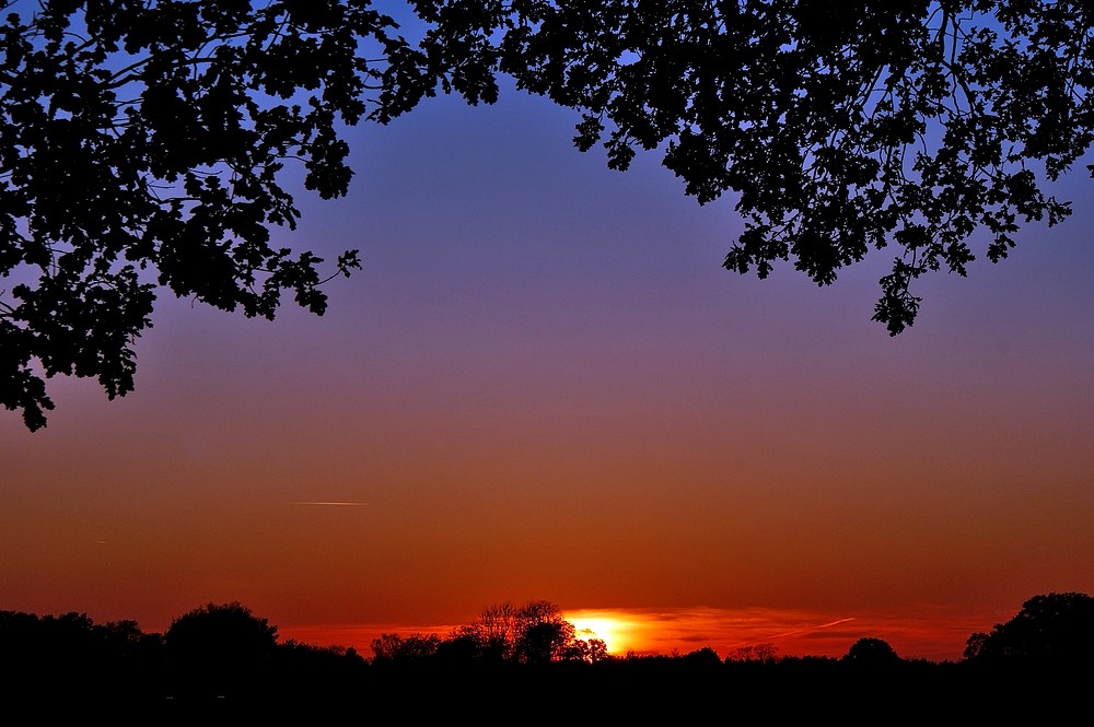 Die Blaue Stunde schleicht heran