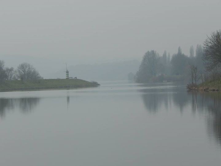 Nebel am See