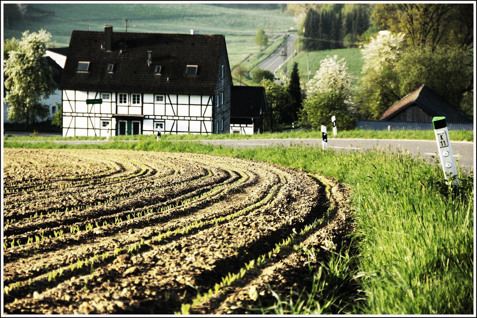 AUF DEM LAND