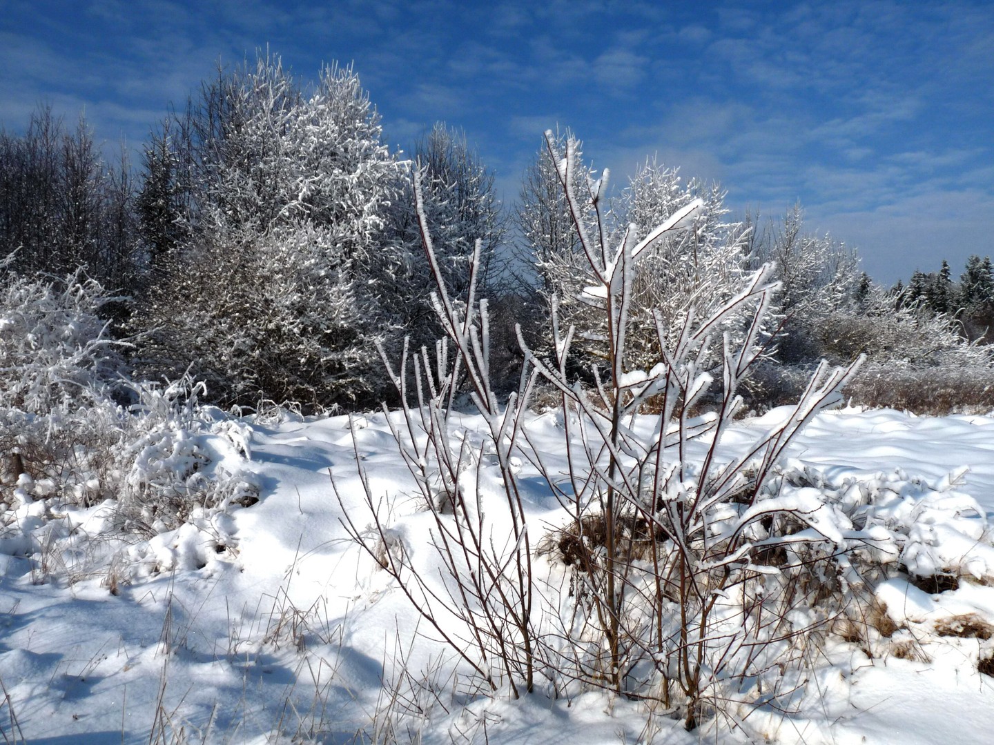 Wintermärchen