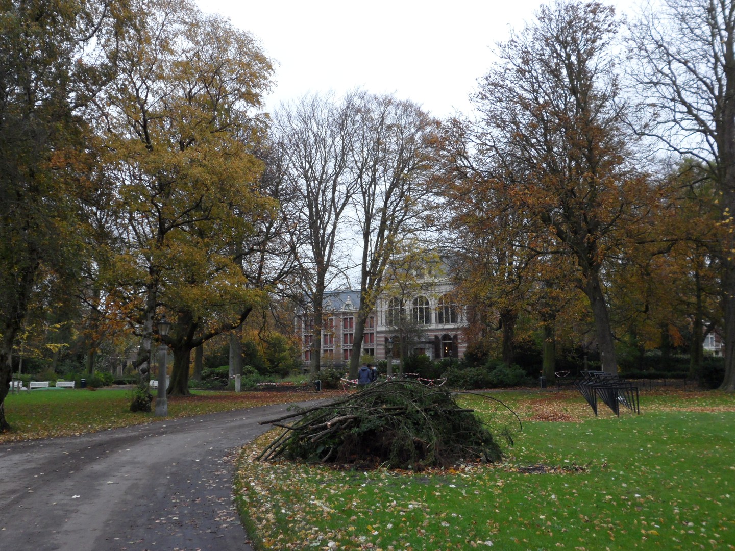 Herbst im Palastgarten