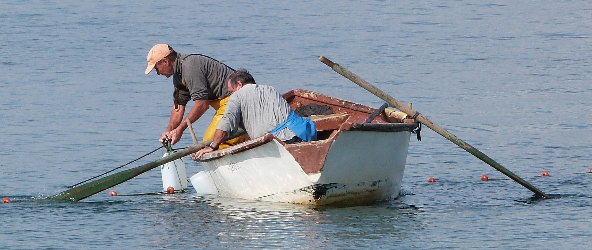 Pêche traditionnelle au filet Dans la lagune de thau