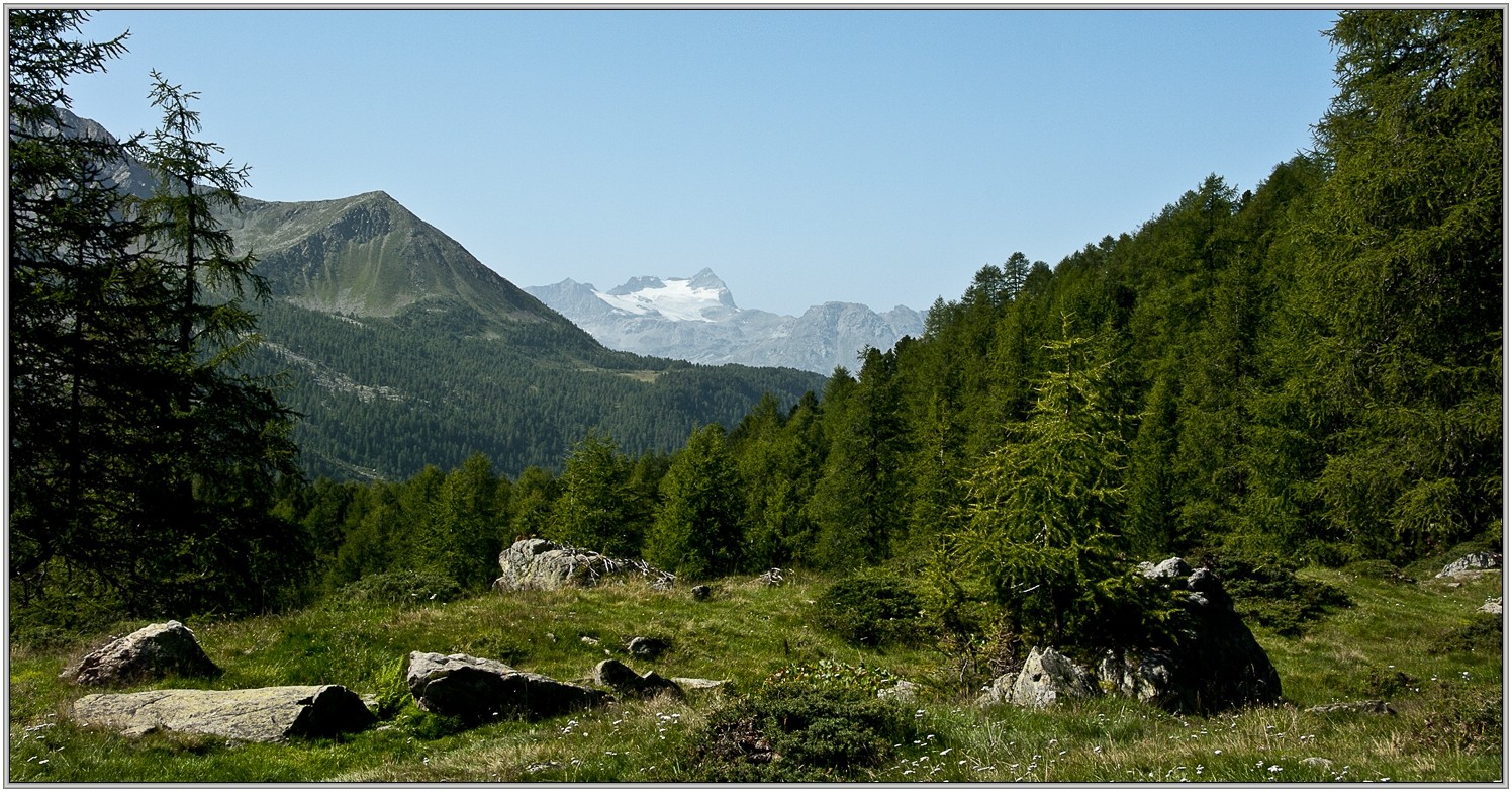 Weideland in den Bergen