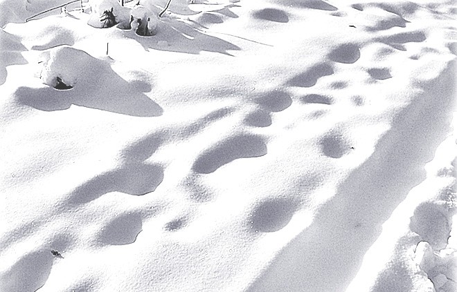 Spuren im Schnee