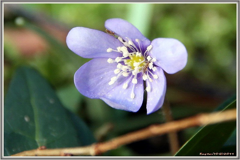 Langsam wird ´s Frühling