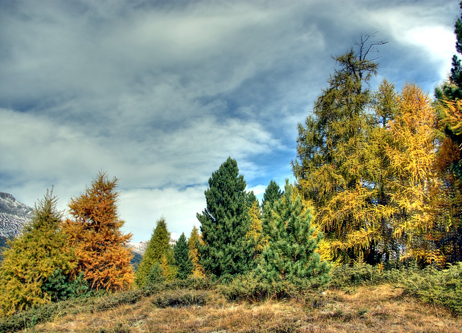 Herbstfarben Symphonie