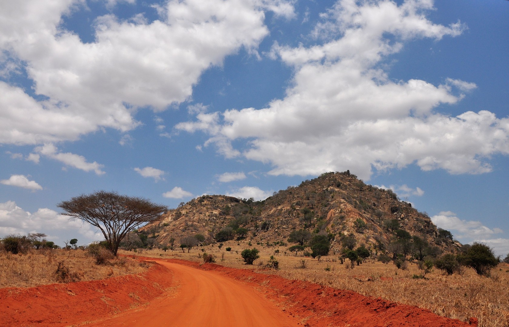 Tsavo Ost Nationalpark ( Natur )