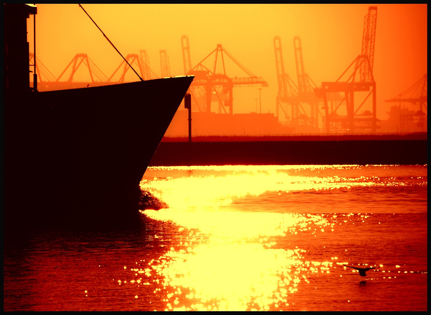 Harbor Rotterdam