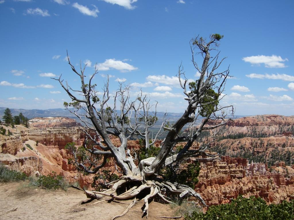 Bryce Canyon Utah