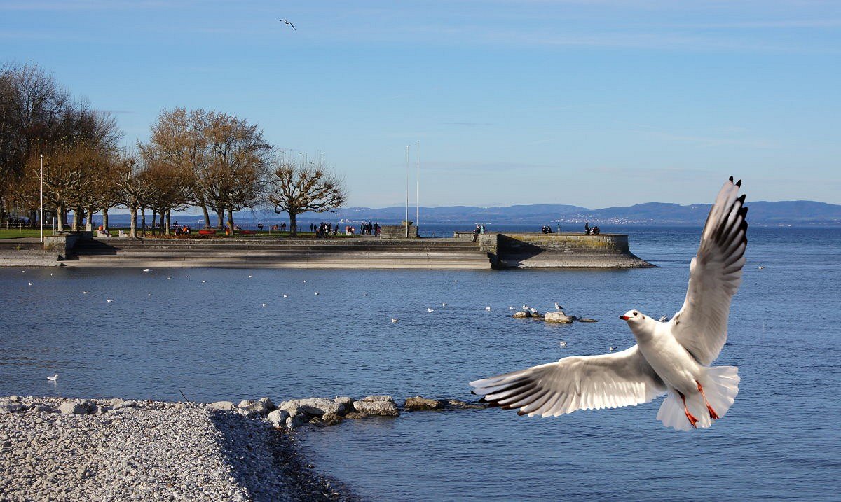 Arbon am Bodensee