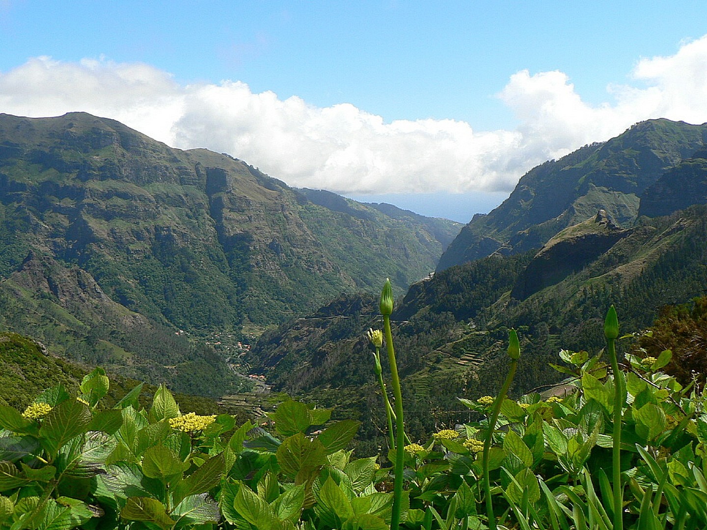 Madeira