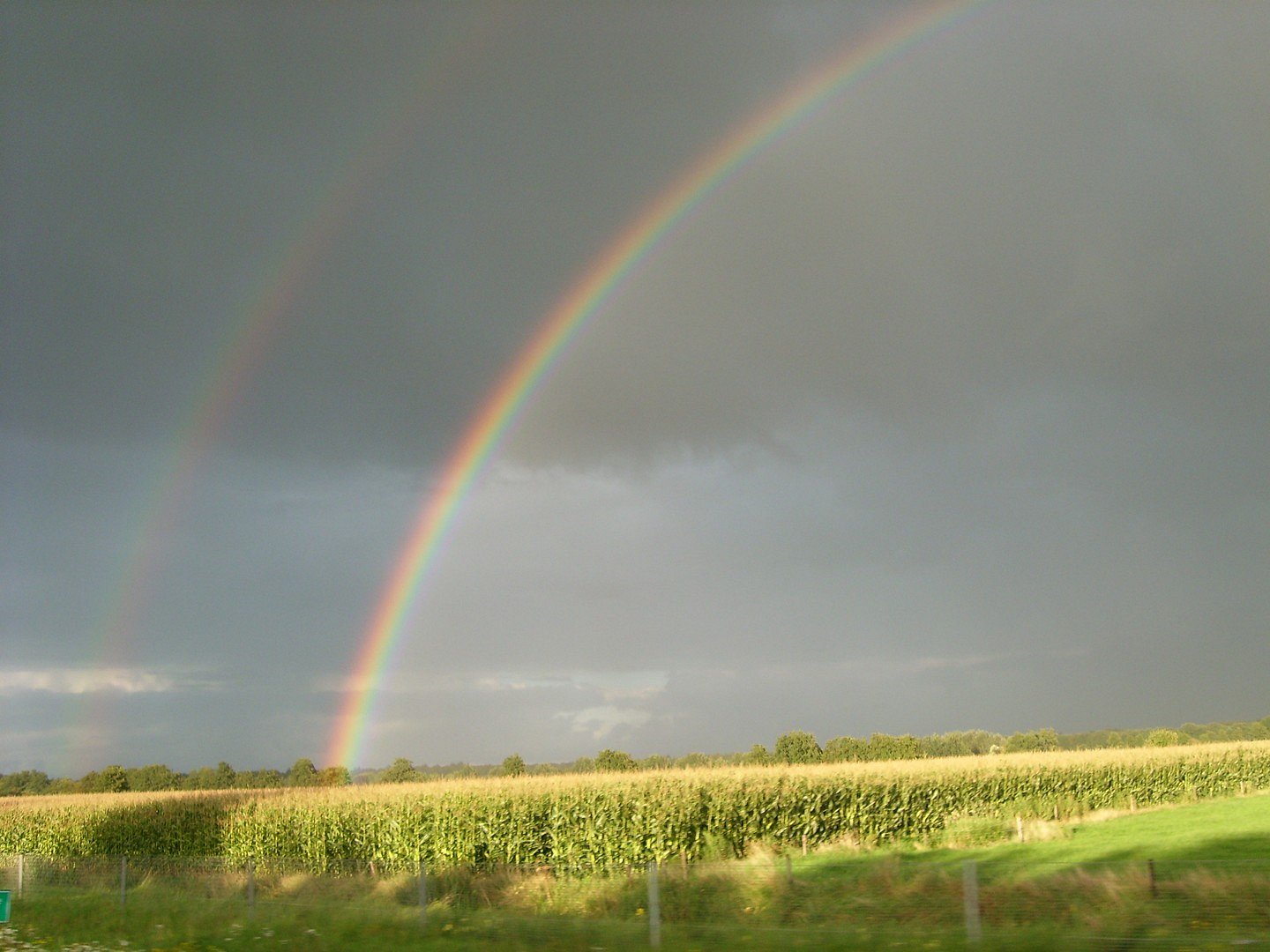 twee regenbogen