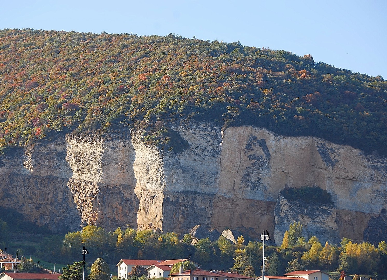 Falaise.