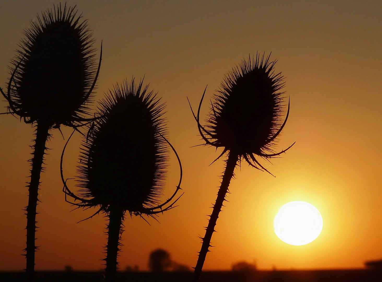 Sonnenuntergang